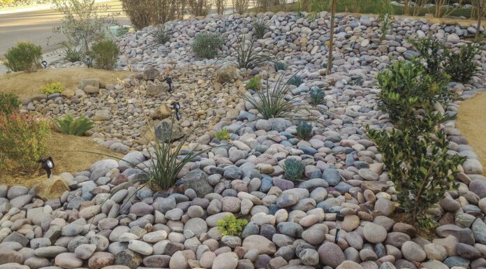 Lack of rainfall a sign for concern