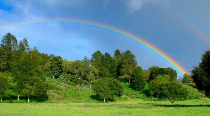 What’s the plan for Felton Meadow?