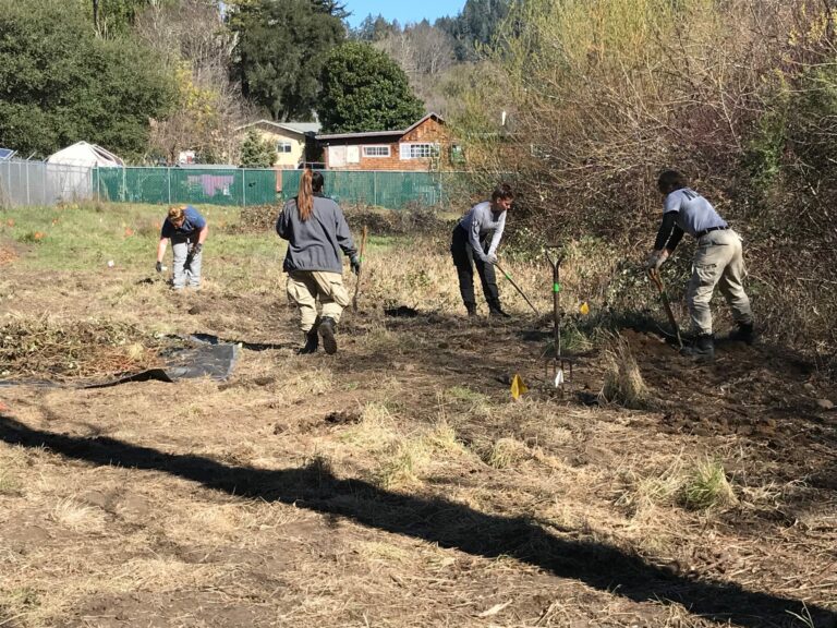 AmeriCorps working hard on Felton project