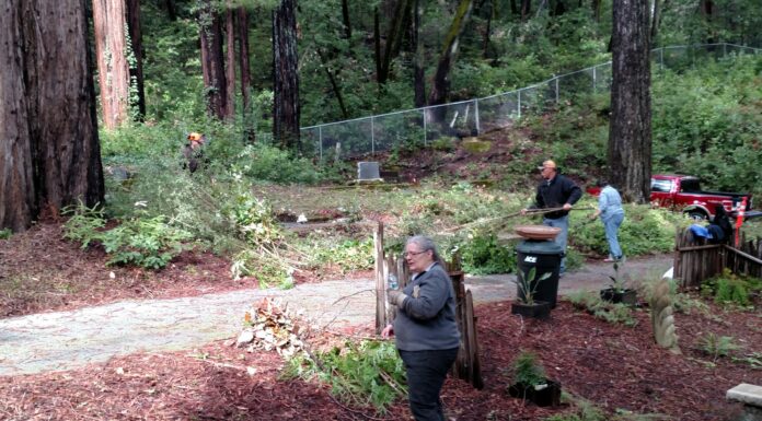 Community comes together to clean up Boulder Creek Cemetery