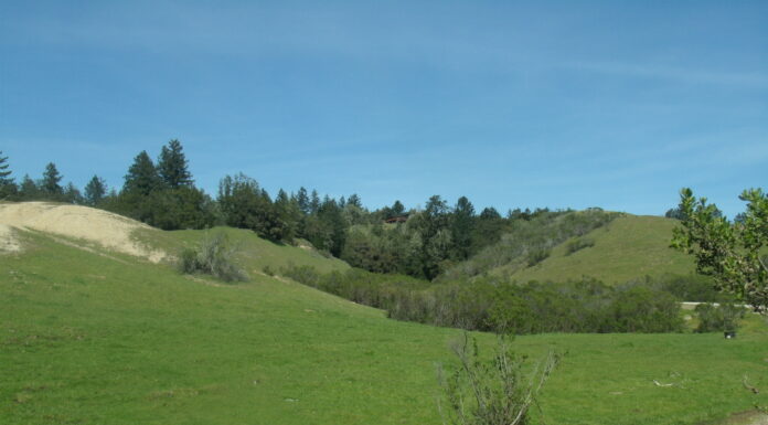 Access to Glenwood open space preserve under scrutiny by neighbors