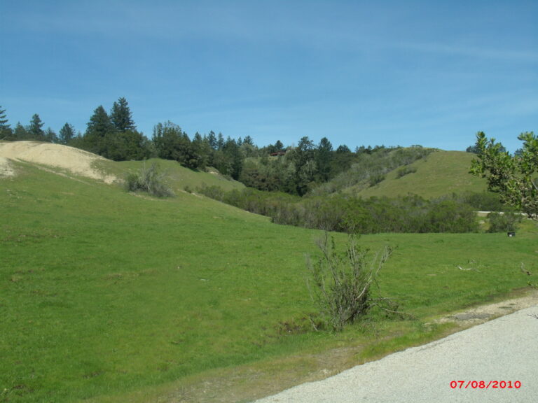 Access to Glenwood open space preserve under scrutiny by neighbors