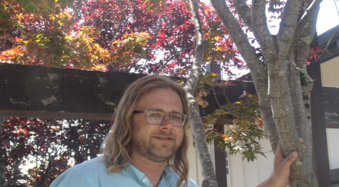 Marijuana growers stepping up to professional business management