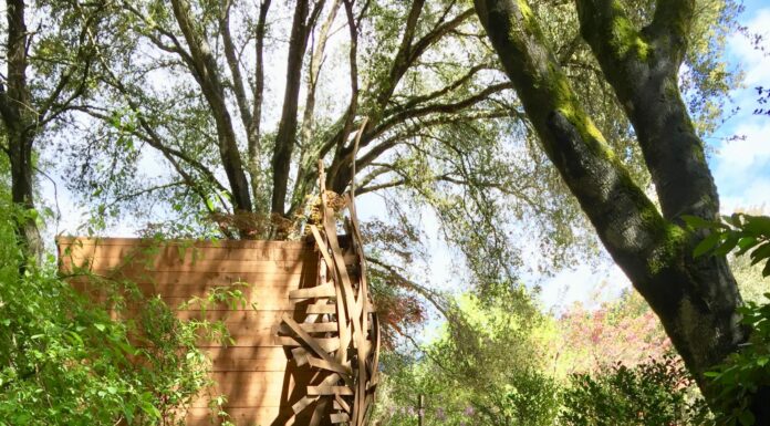 Secret gardens of the Valley: A benefit for Felton Library Friends
