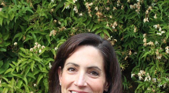 New principal for Vine Hill
