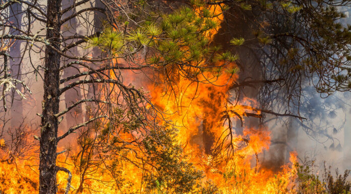 As fire season starts, how to prepare