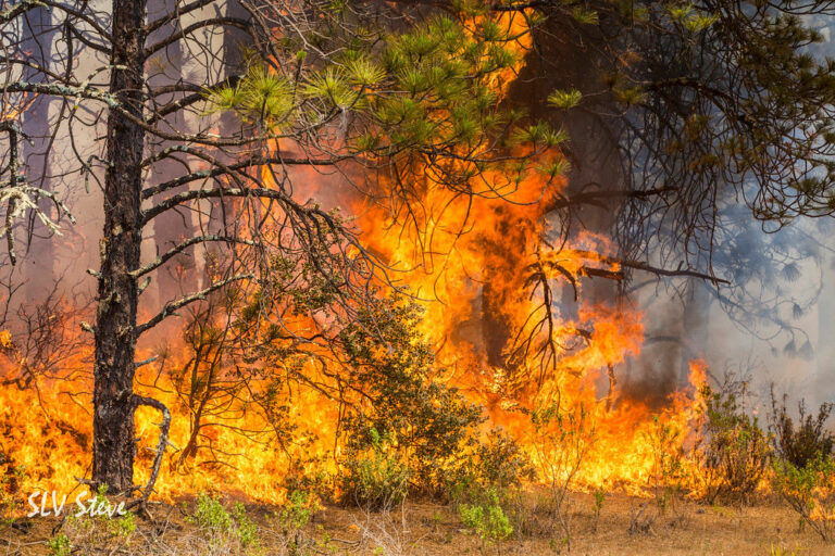 As fire season starts, how to prepare