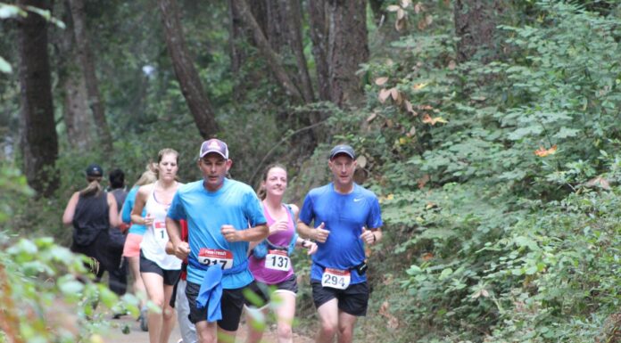 Race Thru the Redwoods returns Race Through The Redwoods