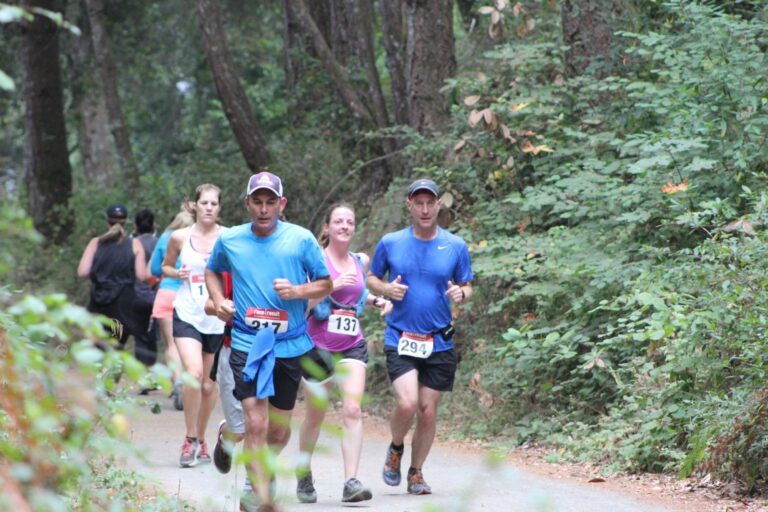 Race Through The Redwoods