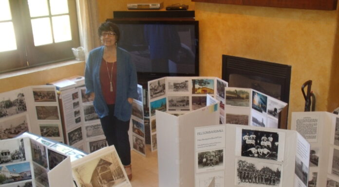 A local treasure: History of Felton Grove-compliments of Vicki Wees