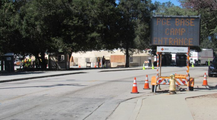 Environmentalists push back against PG&E tree cutting in Santa Cruz Mountains