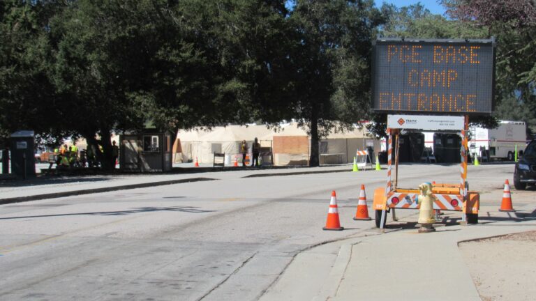 Environmentalists push back against PG&E tree cutting in Santa Cruz Mountains