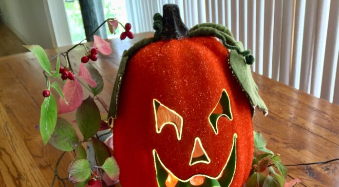 Plain Talk about Food It’s “Fall-oween”