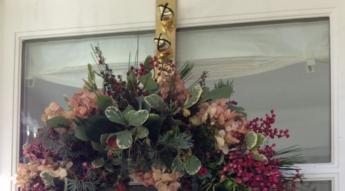 How our Christmas Customs Got Their Start
