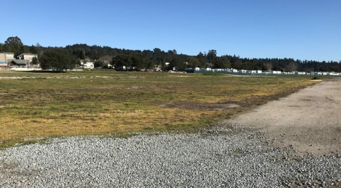 Fewer homes planned for Town Green