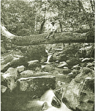 By a waterfall
