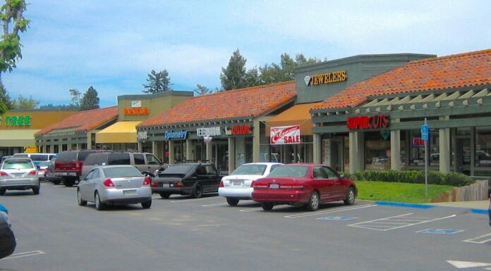 Scotts Valley Square trees returning