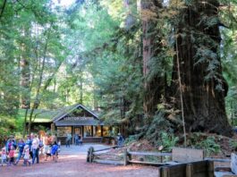 Tourism: Opportunities and Challenges