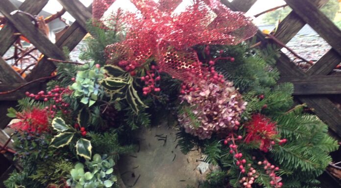 Holiday Lore & Traditions
