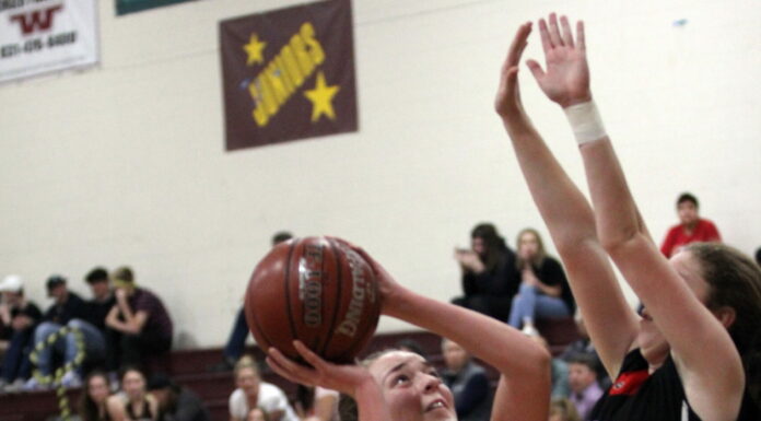 SVHS Varsity Falcons VS SLVHS Cougars- Women’s Basketball