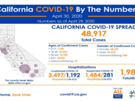 COVID Stats- From the Editor