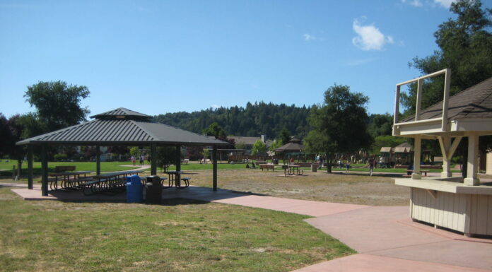 Fostering Community Safety in Scotts Valley Public Spaces