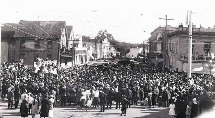 FIGHTING SENOR FLU (Part One)