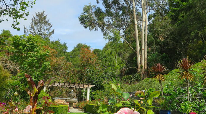 Take a Virtual Tour of 5 Enchanting Scotts Valley Gardens