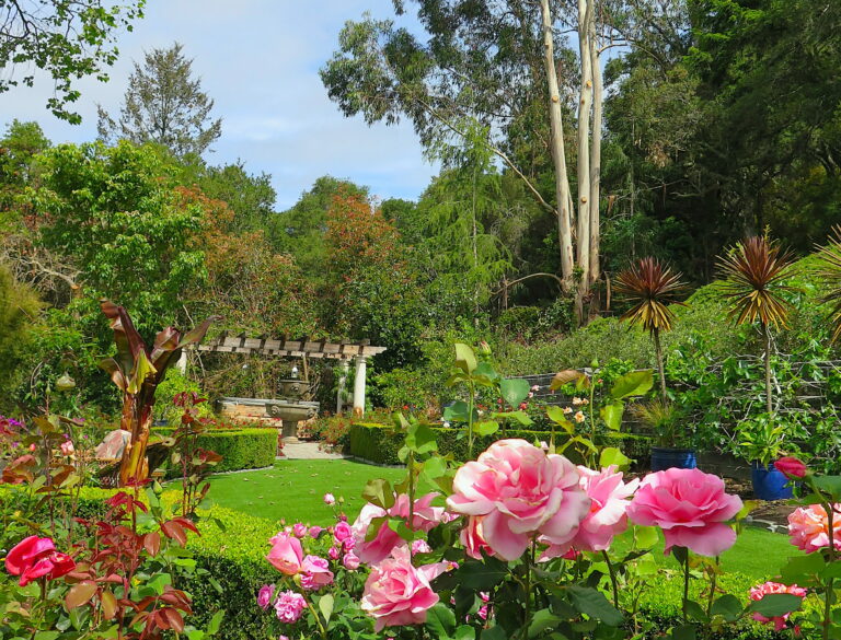 Take a Virtual Tour of 5 Enchanting Scotts Valley Gardens