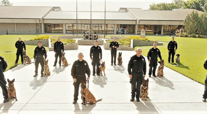 CHP TO ‘UNLEASH’ CALIFORNIA’S NEWEST CANINE TEAMS