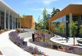Cabrillo Ext. Offers Virtual Camps & Classes