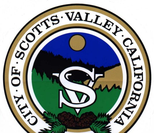 Supporting Local Business: SV Town Hall