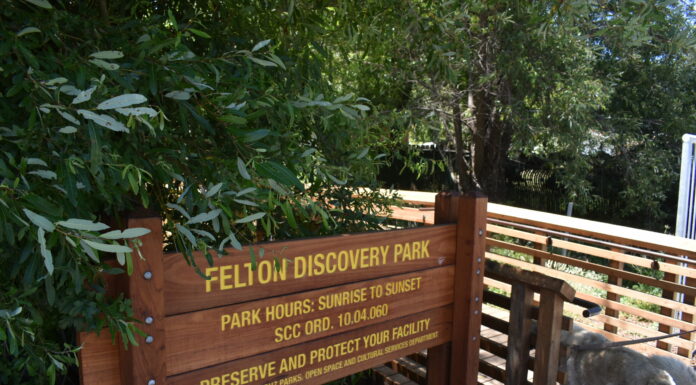 Discover a New Park!