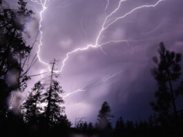 A Perfect Storm for Fire