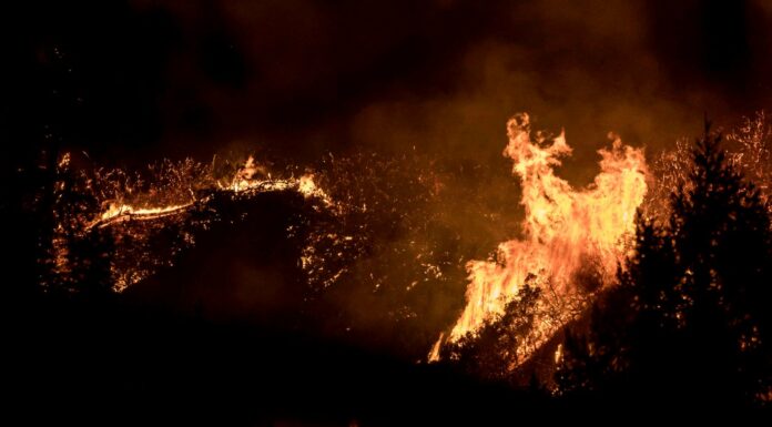 San Lorenzo and Scotts Valley CZU Fire Updates
