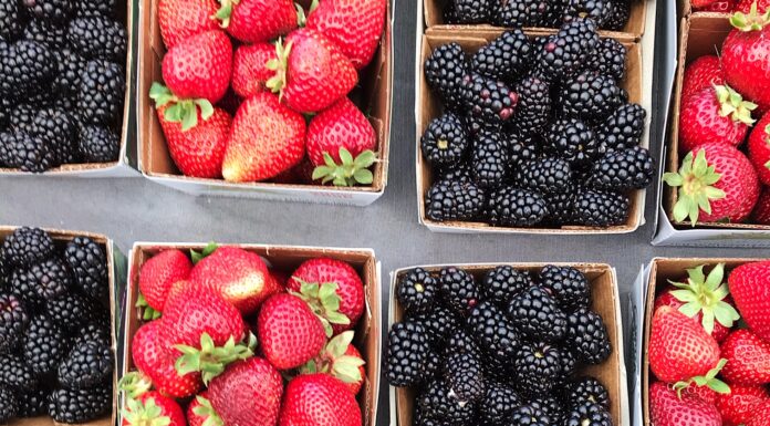All Five Farmers’ Markets are OPEN: It’s Peak Season for Farms and Fires