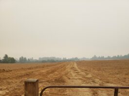 Checking in with UCSC
