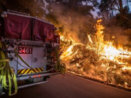 CZU Complex fires ‘controlled’
