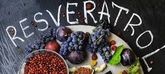 Resveratrol, The Red Wine Antioxidant