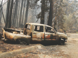 Taking Steps to Help Community Rebuild czu fire