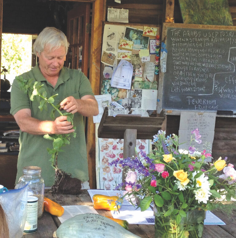 Enriching the Soil With Cover Crops