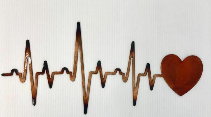 The Heartbeat of Life