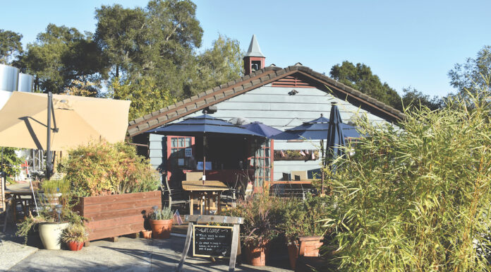 Orange Tier status reopens more valley businesses Hallcrest Vineyards Covid-19
