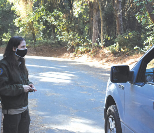 CZU survivors camp out in Henry Cowell Henry Cowell