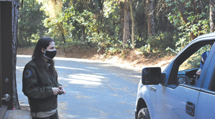 CZU survivors camp out in Henry Cowell Henry Cowell