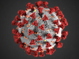 Santa Cruz County not yet joining other Bay Area counties in closures coronavirus felton music hall