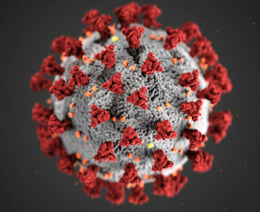 Santa Cruz County not yet joining other Bay Area counties in closures coronavirus felton music hall