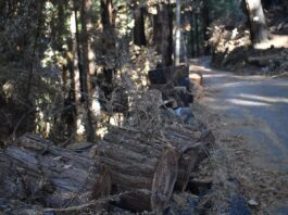 County to file complaints against PG&E for unpermitted timber harvesting, environmental damage