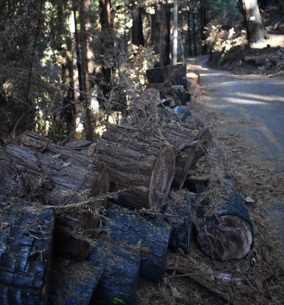 County to file complaints against PG&E for unpermitted timber