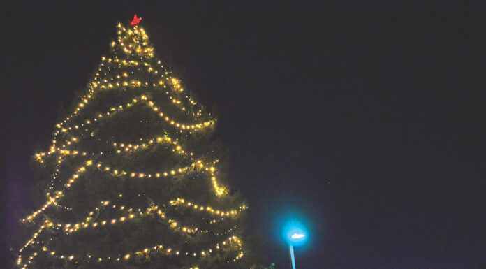 Scotts Valley Community Christmas Tree honoring memory of Christopher Ow Christopher ow tree